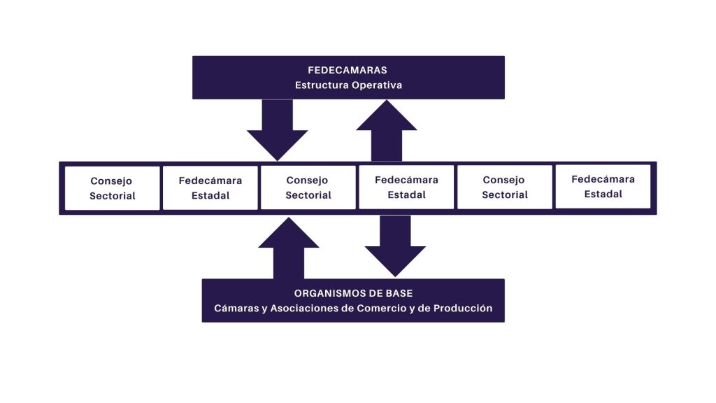 Imagen 3 estructura organizativa
